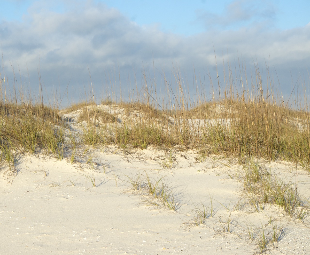 GulfStatePark beach1d - Judge Grills Alabama Lawyers on Lack of Alternatives to Spending BP Environmental Restoration Money for Gulf Shores Hotel
