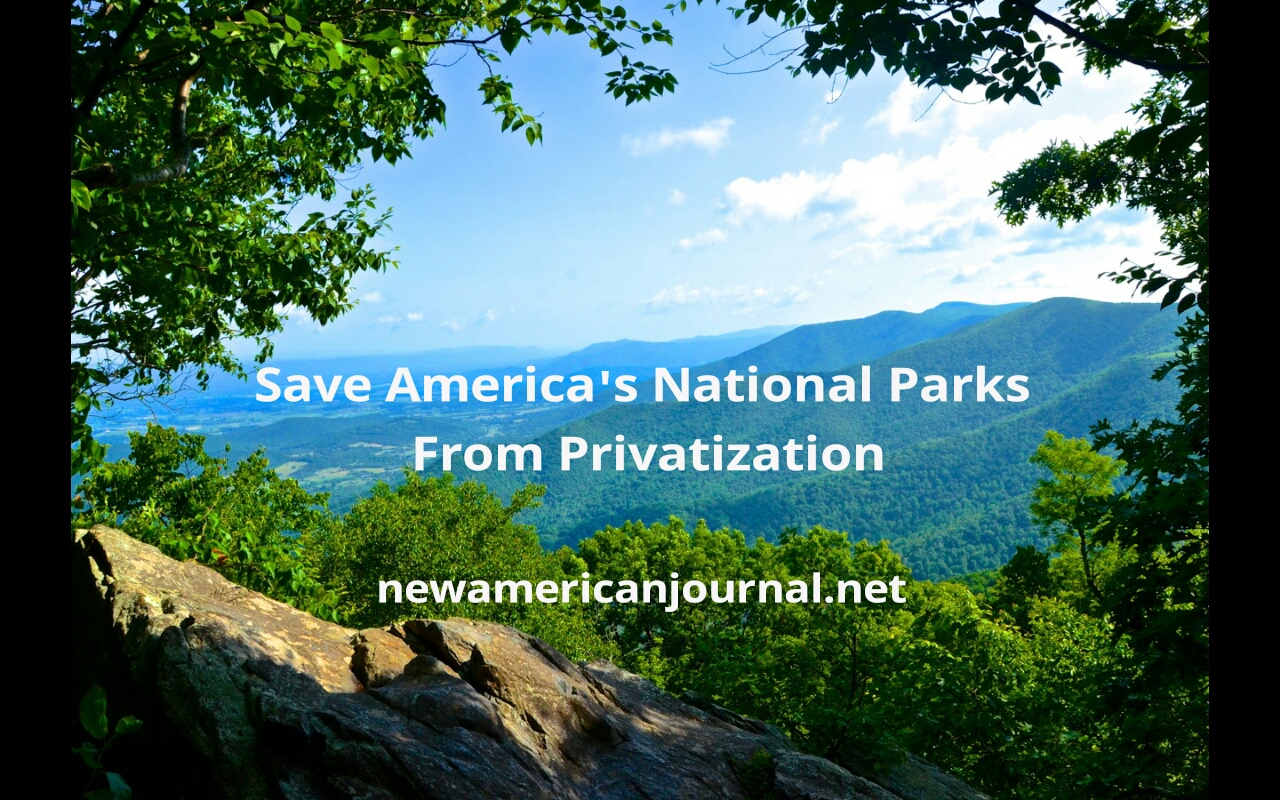 NPS save1 - Jump On The Bus: How the Independent Web Press Could Save American Democracy