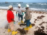 beach workers1b 160x120 - New-Orleans_oil-protest1e