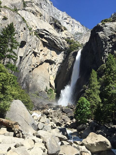 13418949 500975316758980 6608557555555745001 n - President Obama Visits Yosemite, Urges Americans to 'Get Outdoors' on National Park Service Centennial