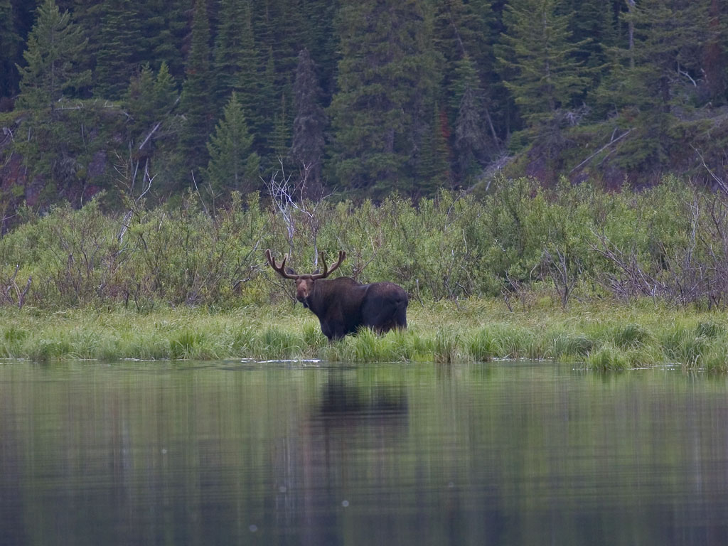 sample pic 12 - President Obama Bypasses Republican Congress, Creates National Monument in Maine’s North Woods