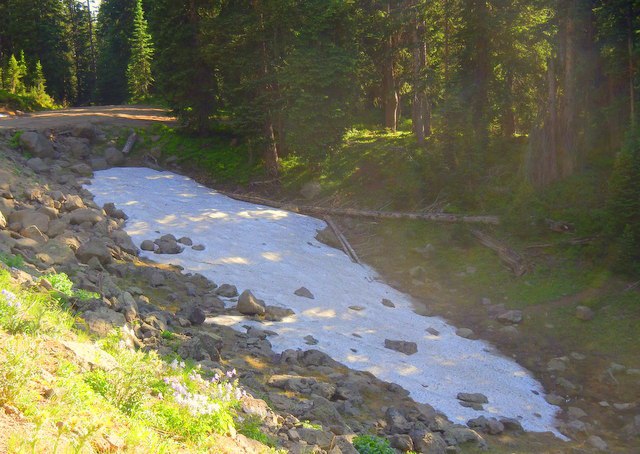 steam snow - Cool Dispersed Camping at 10,000 Feet in Colorado