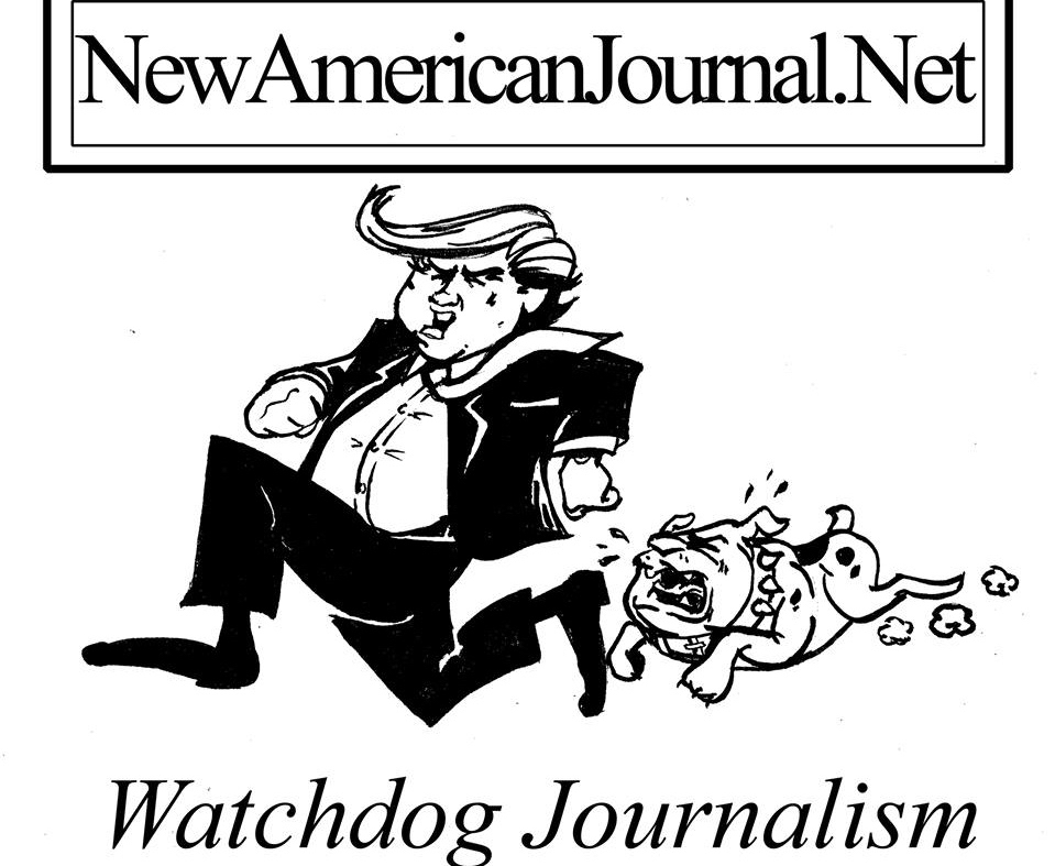 Watchdog JournalismBig1 1 - The Strange Events Leading to Trump's Election and Reversing U.S. Climate Policy