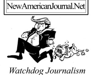 Watchdog JournalismBig1 300x246 - watchdog_journalismbig1