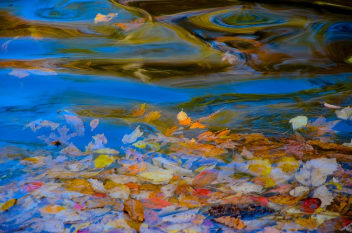 CheahaFalls hike11 3 13e 1200x795 - Best Places to View and Photograph Autumn Foliage