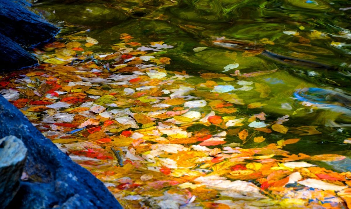 CheahaFalls hike11 3 13g 1200x716 - Best Places to View and Photograph Autumn Foliage