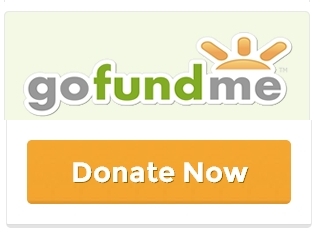 GoFundMe donate button2 - Alien Archeologists Find Dead Humans Staring at Selfies