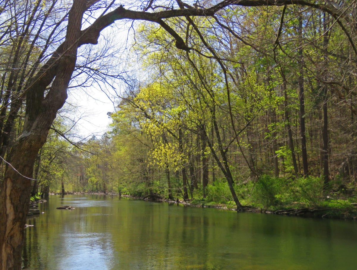 BucksPocket creek1a 1200x907 - Buck's Pocket State Park Campground Could Reopen in the Fall