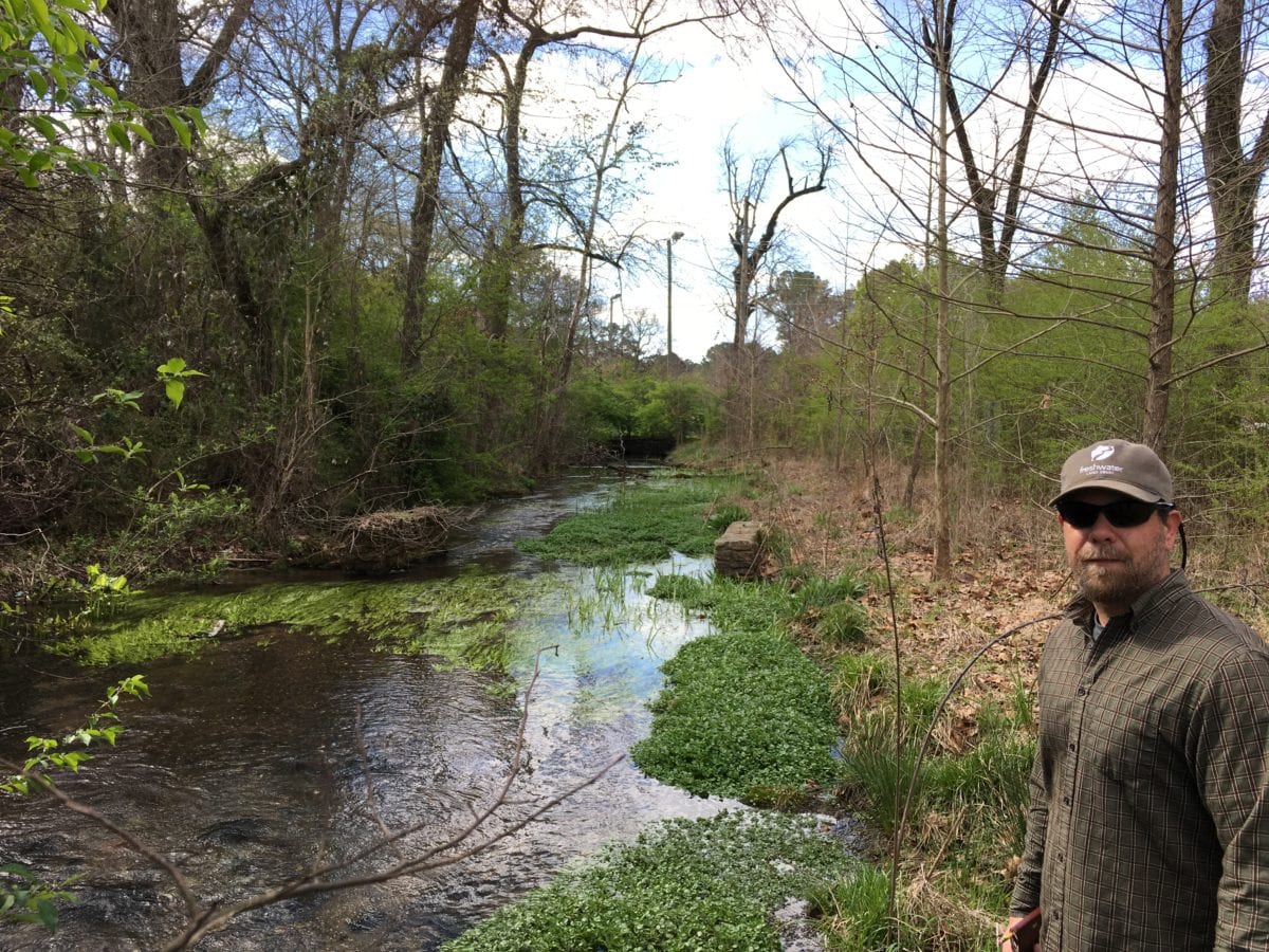 Watercress Darter Habitat Restoration Project Underway on Village Creek Roebuck Springs Jeffrey Drummond 1200x900 - Watercress Darter Habitat Restoration Project Underway on Village Creek
