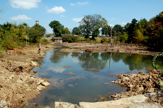 Watercress Darter Habitat Restoration Project Underway on Village Creek roebuck springs4 - Watercress Darter Habitat Restoration Project Underway on Village Creek