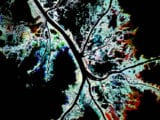 2018Sum_VA_LouisianaEco 2018Sum_VA_LouisianaEco
