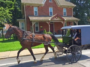 Amish horse carriage1a 300x225 - Amish_horse-carriage1a