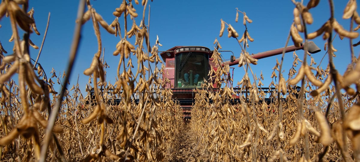 tfci drivers soy harvest 1200x540 - Senators Urge President Trump to Deliver on Aid for Farmers Hurt by China’s Tariffs