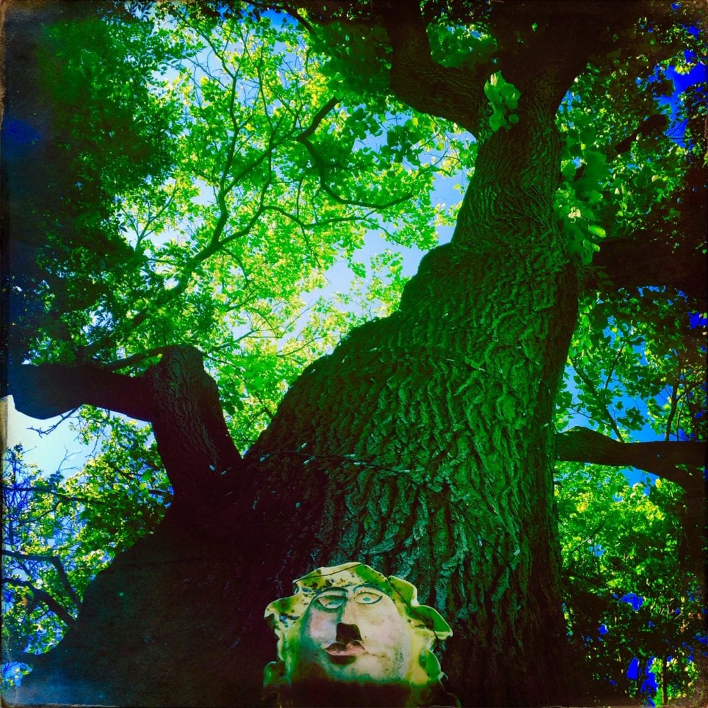 HipstamaticPhoto 581285443.124469 1 1024x1024 - Dancing Around the Mulberry Tree