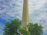 MulberryTree_WashingtonMonument1a.jpg