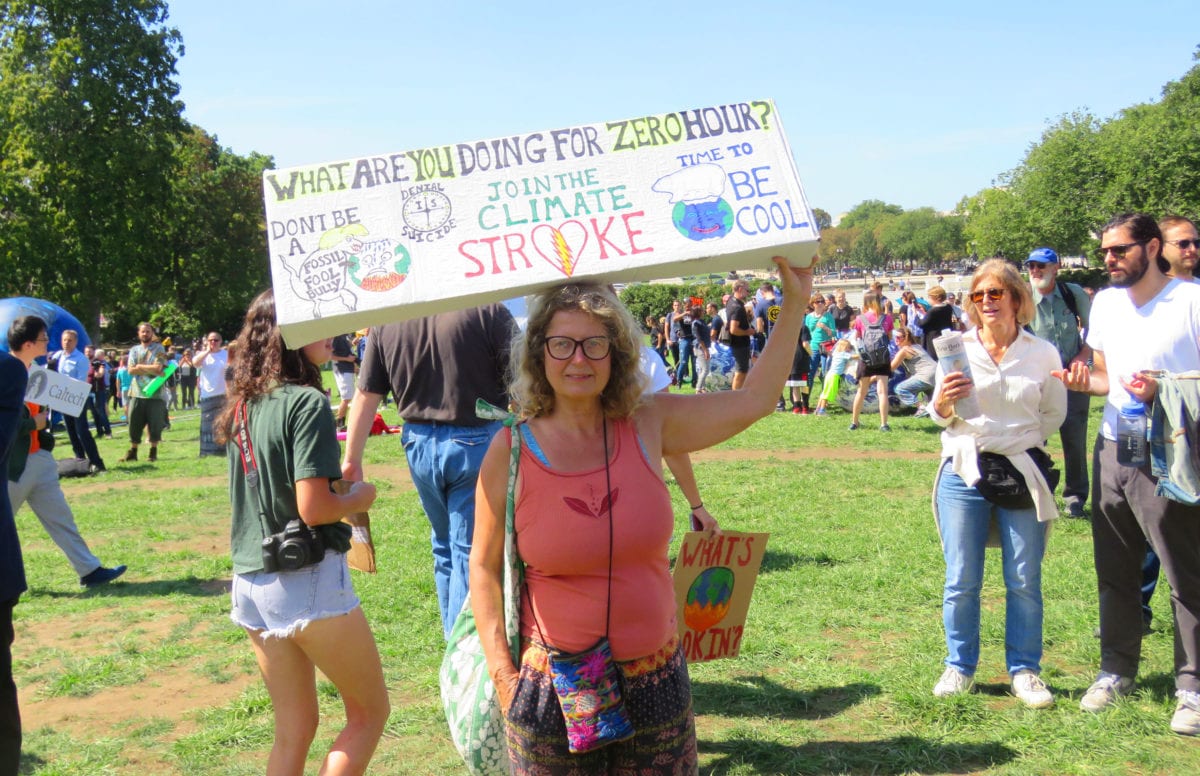 Climate StrikeDC5e 1200x776 - Surveys Show Americans are Less Concerned About Climate Change Than People Around the World