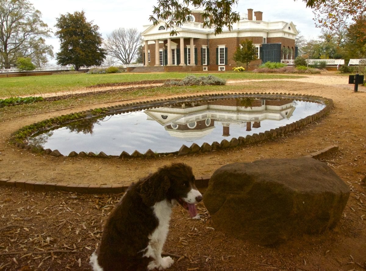 Monticello fishpond1a 2 1200x887 - My Loyal Dog Jefferson Died on Christmas Night 2019