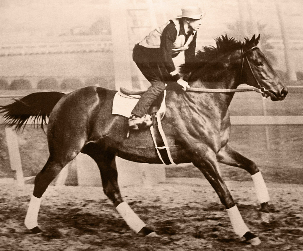 Seabiscuit workout with GW up - What America Needs is Another Seabiscuit
