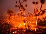 winds southern california wildfire 160x120 - As the West Goes Up in Flames, Trump Couldn’t Care Less