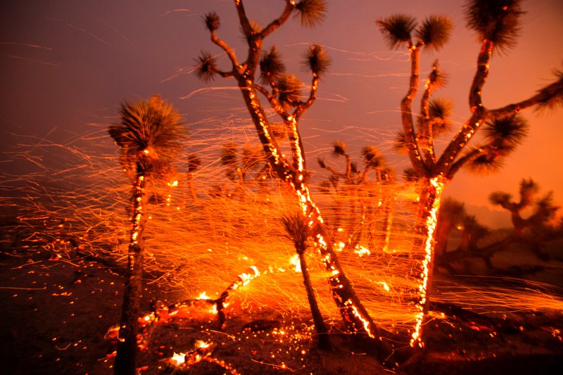 winds southern california wildfire - As the West Goes Up in Flames, Trump Couldn’t Care Less