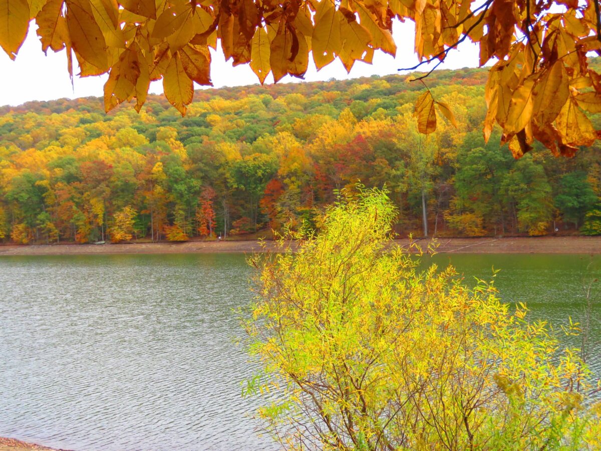122338659 1225682944478743 8542816566055888434 o 1200x900 - Secret Vistas: Autumn Color is Peaking in Maryland, but Don't Get Too Close to Camp David
