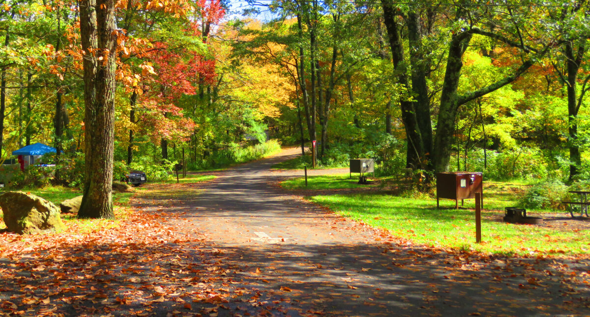 IMG 6704 ed1a 1200x644 - Autumn Color: Shenandoah National Park, Virginia