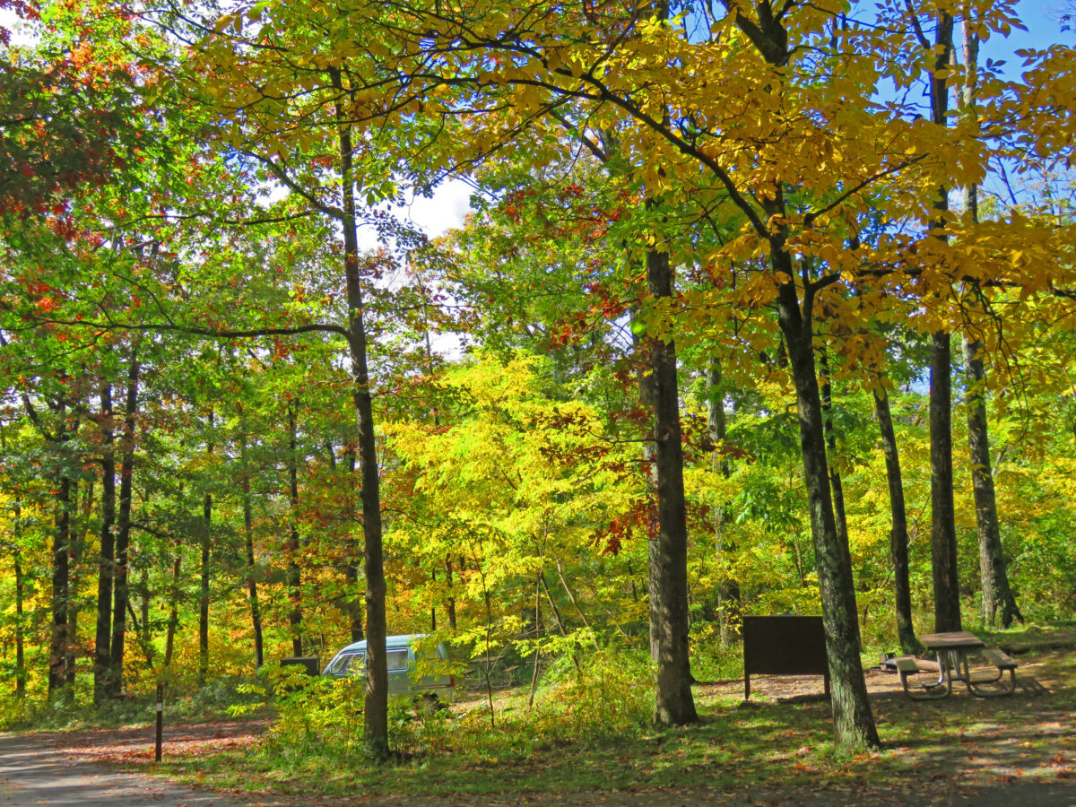 IMG 6705 ed1a 1200x900 - Autumn Color: Shenandoah National Park, Virginia
