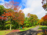 IMG 6710 ed1a 160x120 - Autumn Color: Shenandoah National Park, Virginia