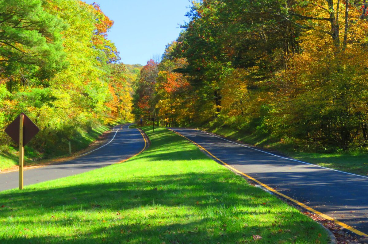 IMG 6712 ed1a 1200x795 - Autumn Color: Shenandoah National Park, Virginia