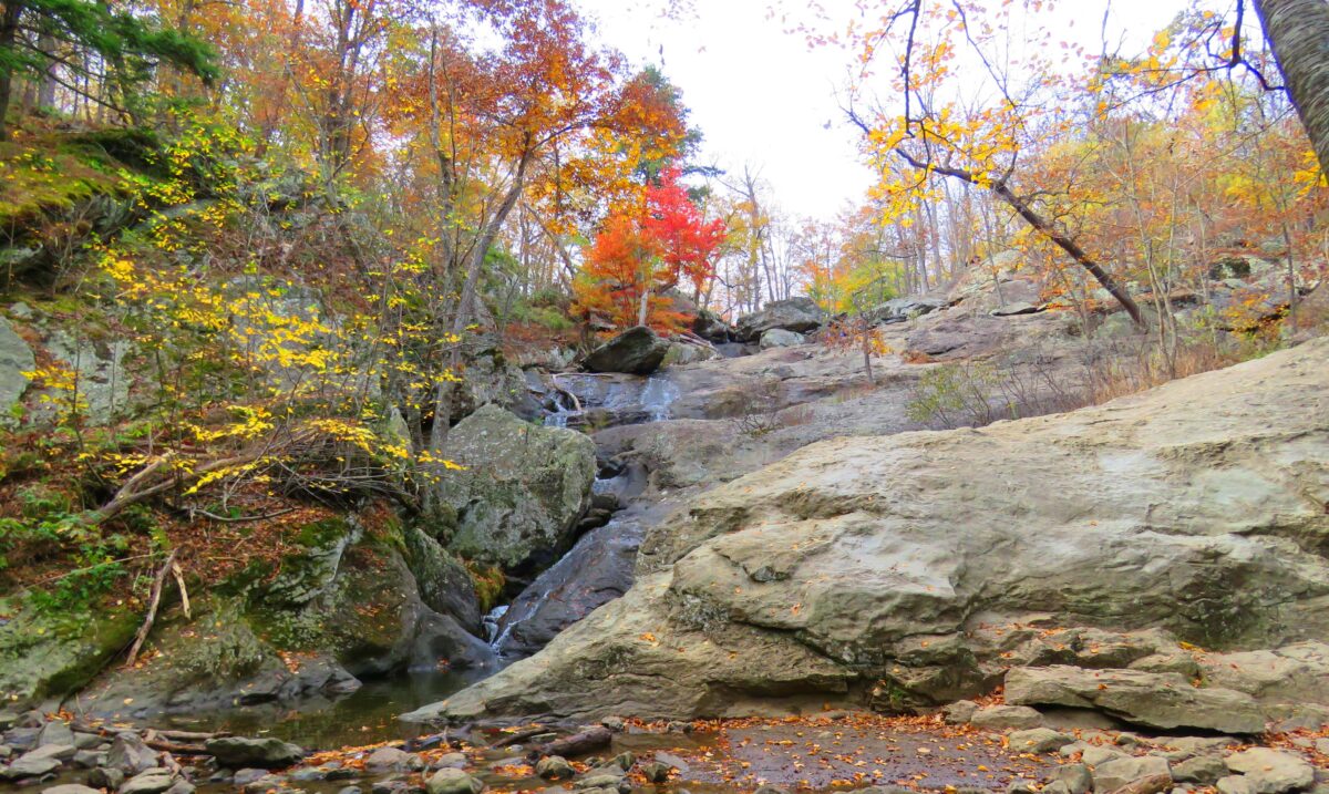 IMG 6759 3e3c 1200x717 - Secret Vistas: Autumn Color is Peaking in Maryland, but Don't Get Too Close to Camp David