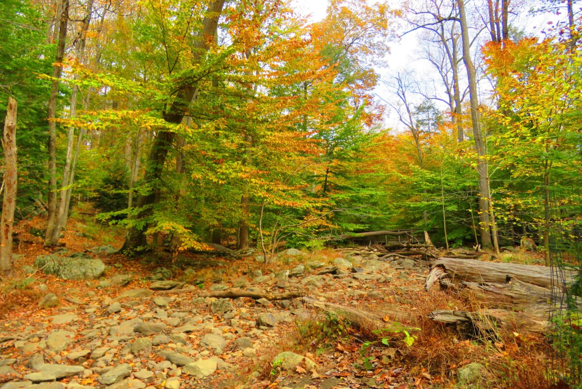 IMG 6782 ed2b 1200x802 - Secret Vistas: Autumn Color is Peaking in Maryland, but Don't Get Too Close to Camp David