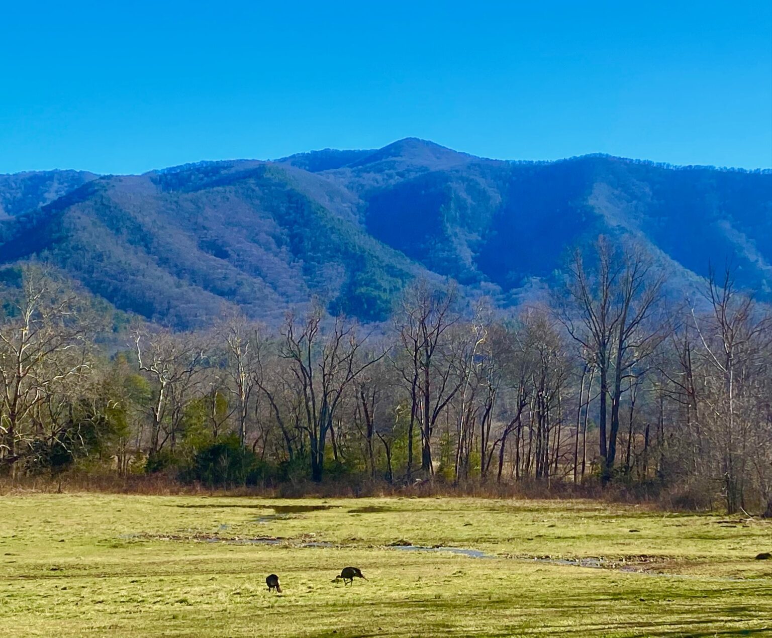 Photo Essay Cades Cove in Winter Great Smoky Mountains National Park New American Journal