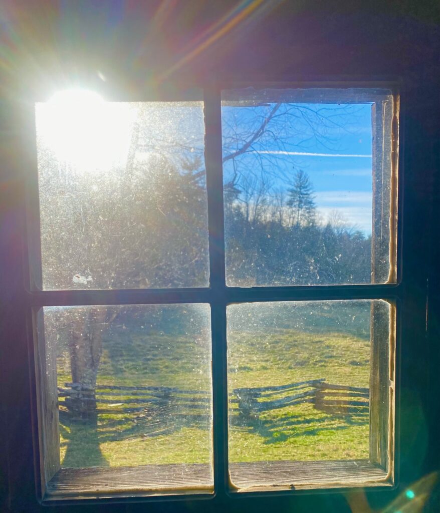 IMG 8757 878x1024 - Photo Essay - Cades Cove in Winter: Great Smoky Mountains National Park