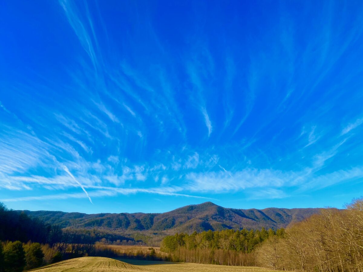 IMG 8767 1200x900 - Photo Essay - Cades Cove in Winter: Great Smoky Mountains National Park