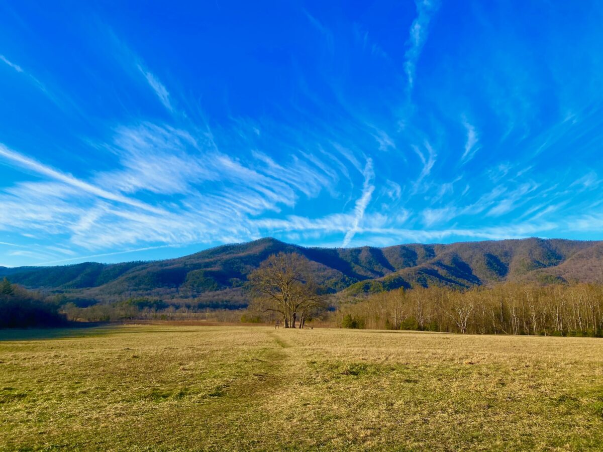 IMG 8770 1200x900 - Photo Essay - Cades Cove in Winter: Great Smoky Mountains National Park