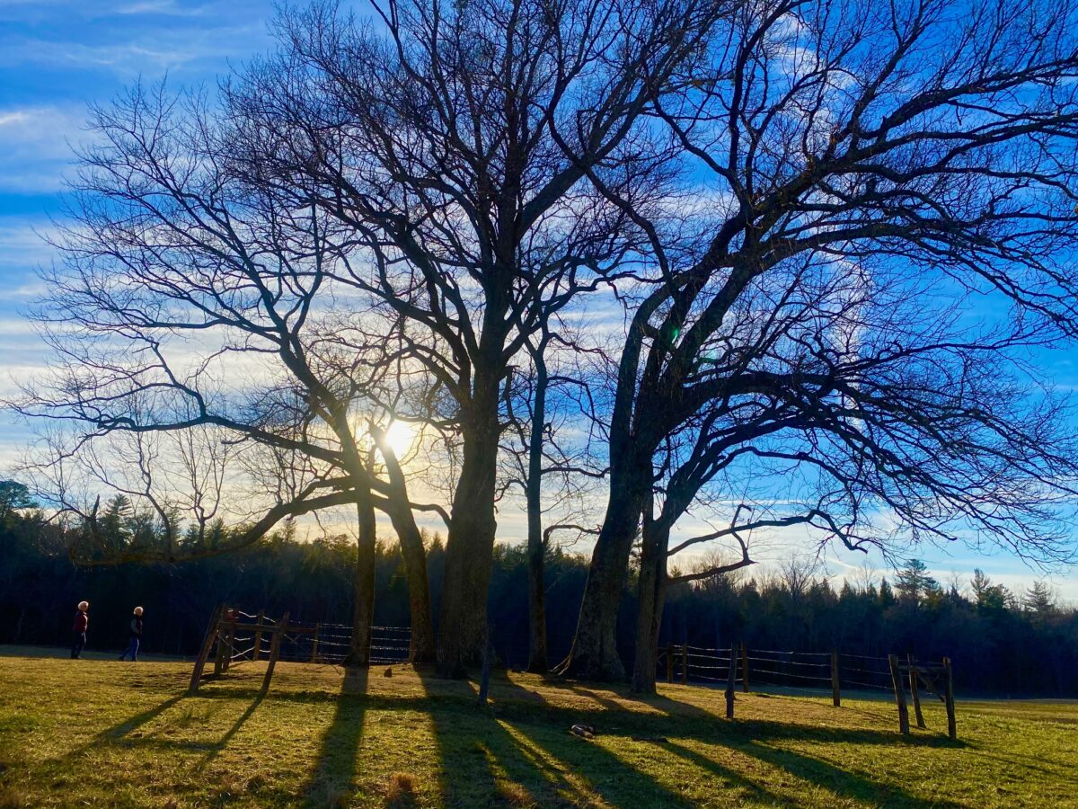 IMG 8787 1200x900 - Photo Essay - Cades Cove in Winter: Great Smoky Mountains National Park