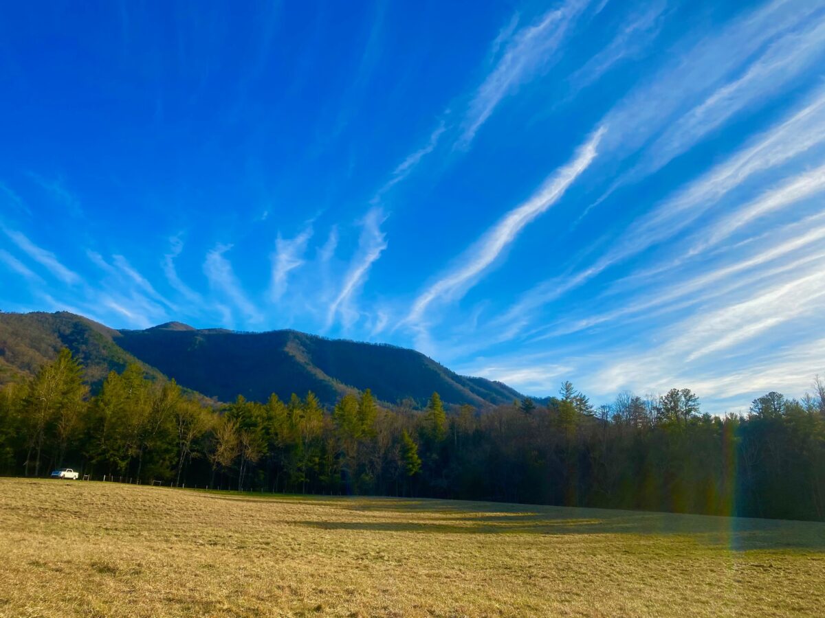 IMG 8803 1200x900 - Photo Essay - Cades Cove in Winter: Great Smoky Mountains National Park