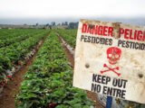 Pesticide