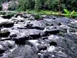 Secret Vistas: A River Runs Through It swann07 72.4 160x120 - Secret Vistas: A River Runs Through It