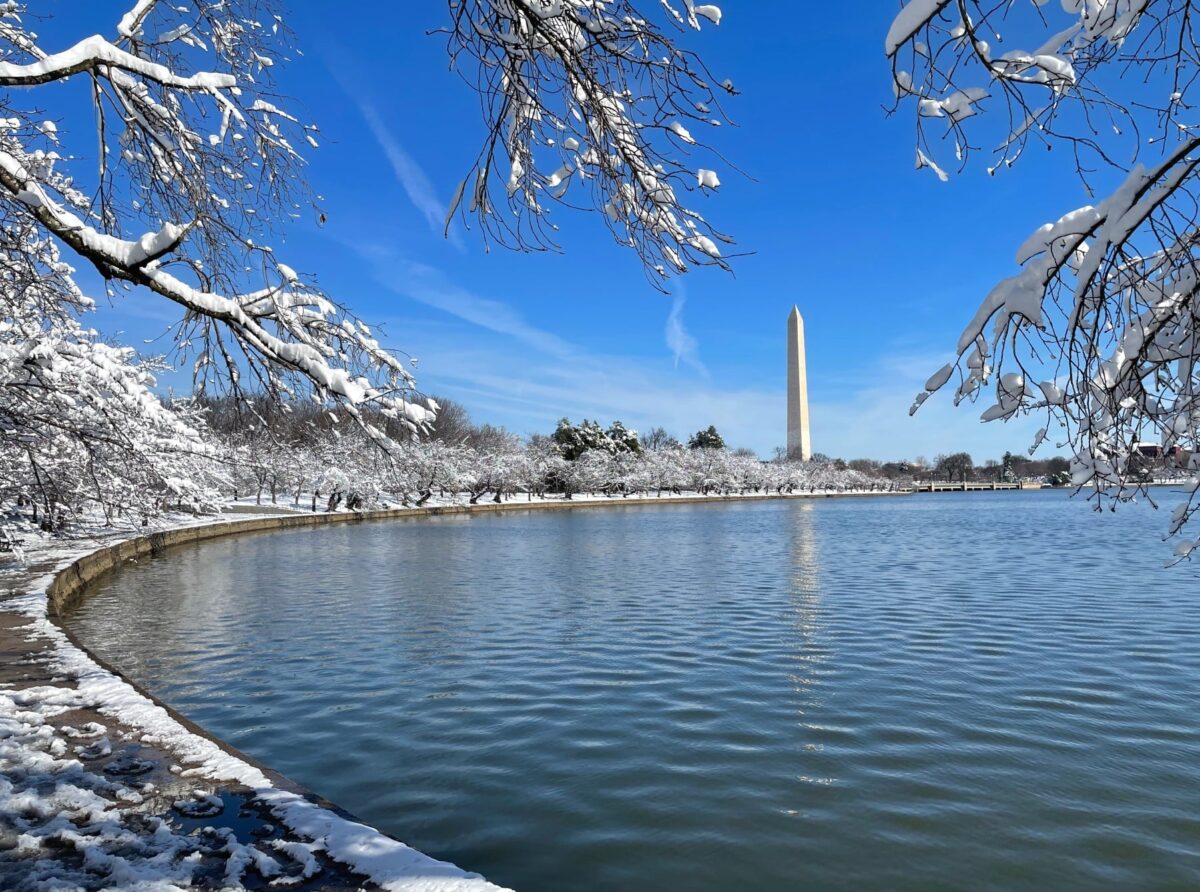 271328120 5020570281288016 7143034435256191522 n 1200x892 - Photo Essay: Snow Shots in the First Blizzard of 2022