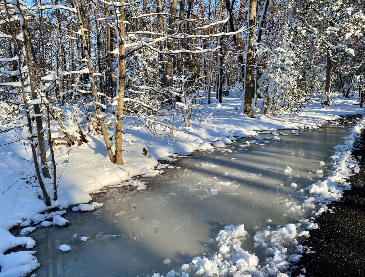 IMG 0793 1200x910 - Photo Essay: Snow Shots in the First Blizzard of 2022