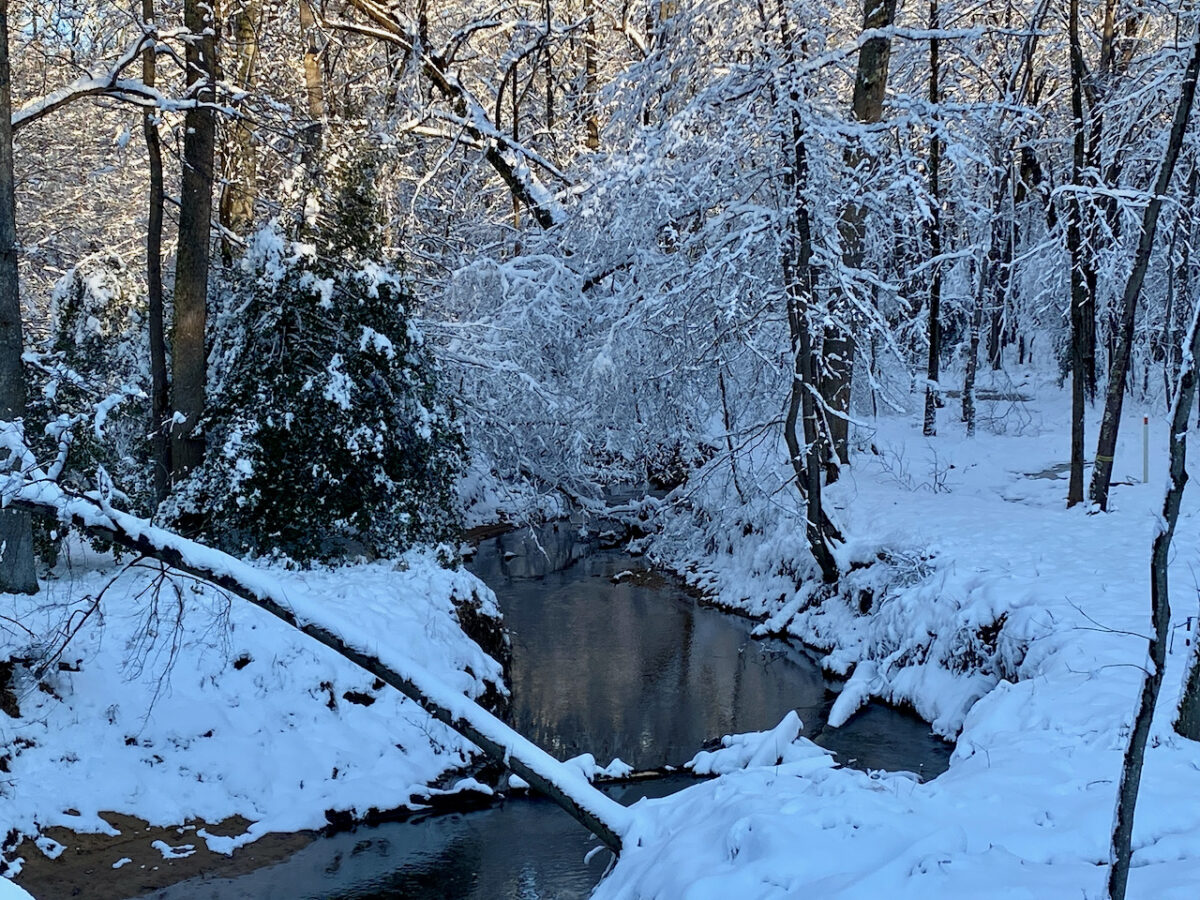 IMG 0809 1200x900 - Photo Essay: Snow Shots in the First Blizzard of 2022