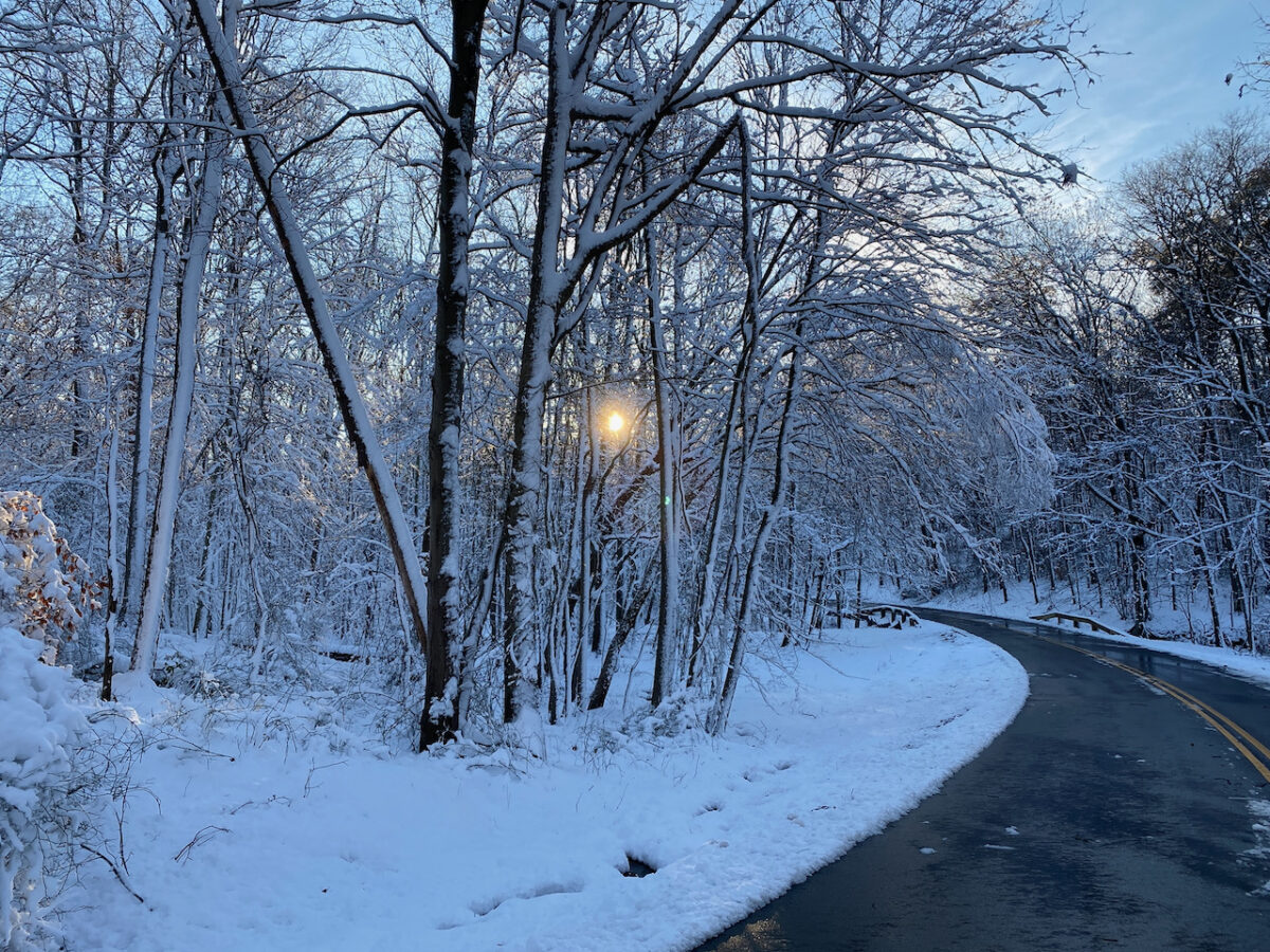 IMG 0823 1200x900 - Photo Essay: Snow Shots in the First Blizzard of 2022