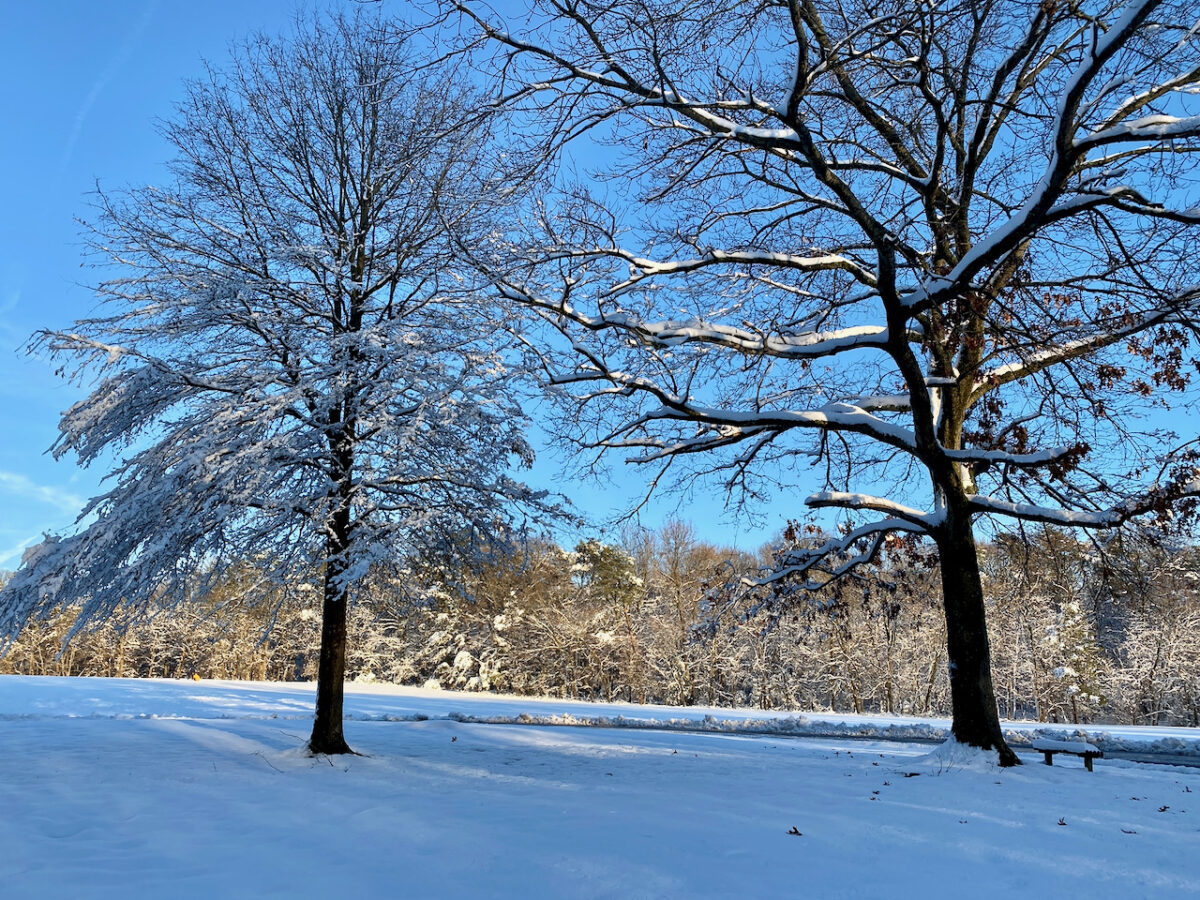 IMG 0827 1200x900 - Photo Essay: Snow Shots in the First Blizzard of 2022