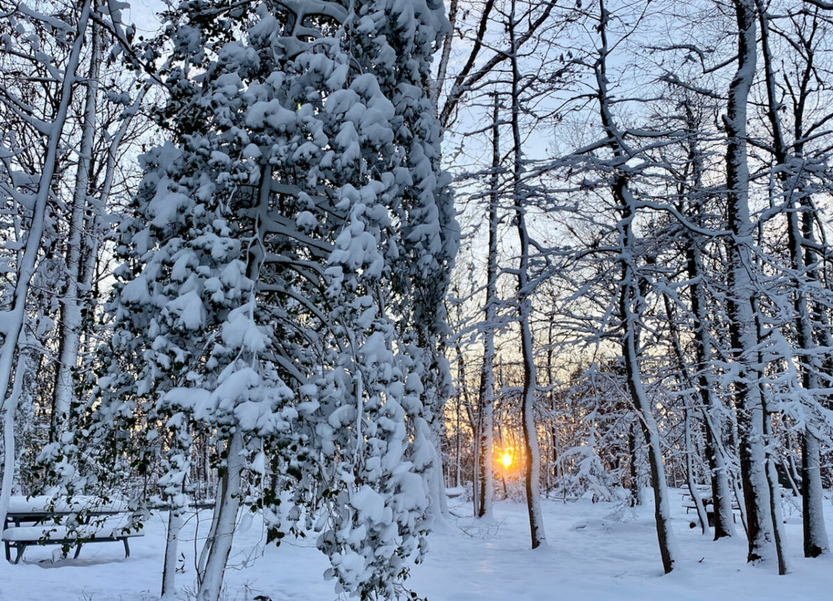 IMG 0840 1200x866 - Photo Essay: Snow Shots in the First Blizzard of 2022
