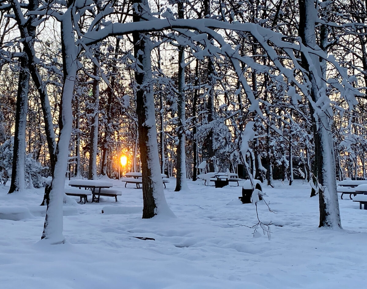 IMG 0841 1200x946 - Photo Essay: Snow Shots in the First Blizzard of 2022