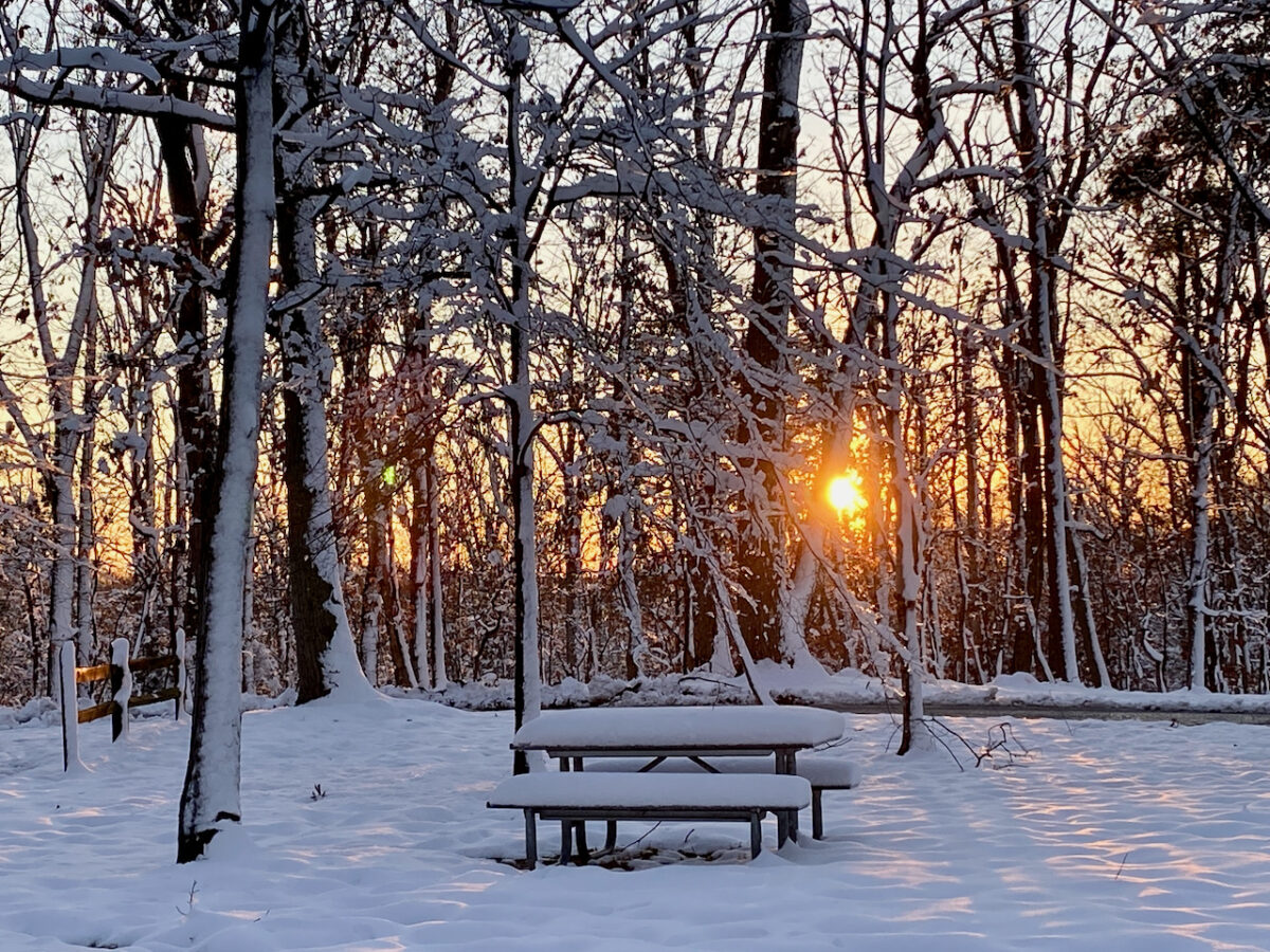 IMG 0844 1200x900 - Photo Essay: Snow Shots in the First Blizzard of 2022
