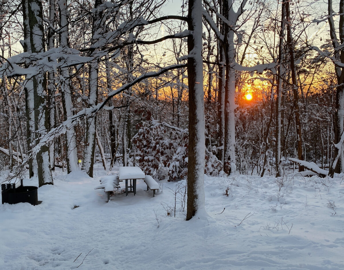 IMG 0866 1200x941 - Photo Essay: Snow Shots in the First Blizzard of 2022