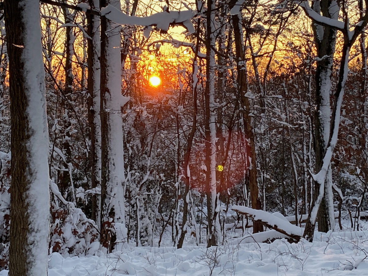 IMG 0867 1200x900 - Photo Essay: Snow Shots in the First Blizzard of 2022