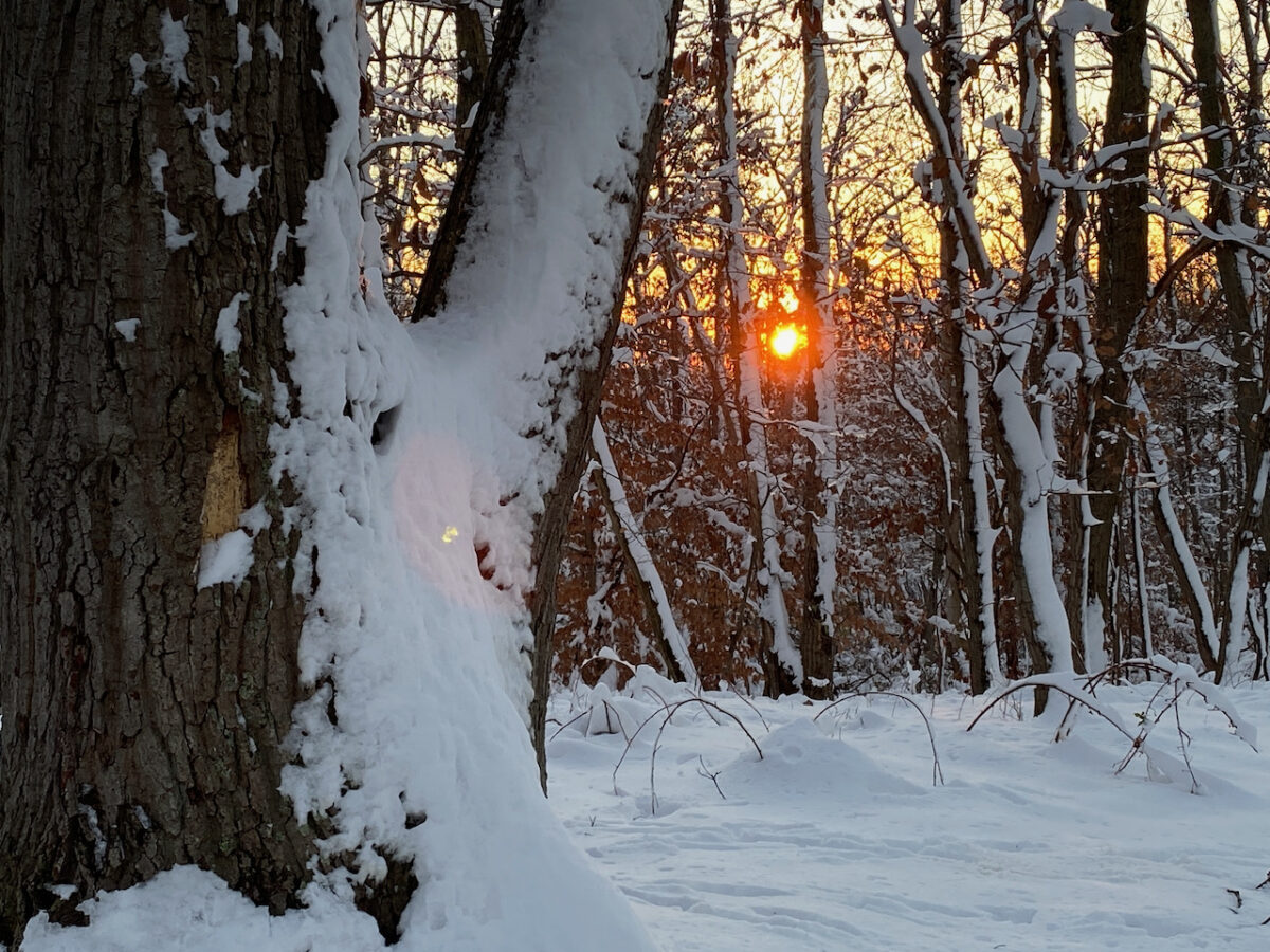 IMG 0874 1200x900 - Photo Essay: Snow Shots in the First Blizzard of 2022